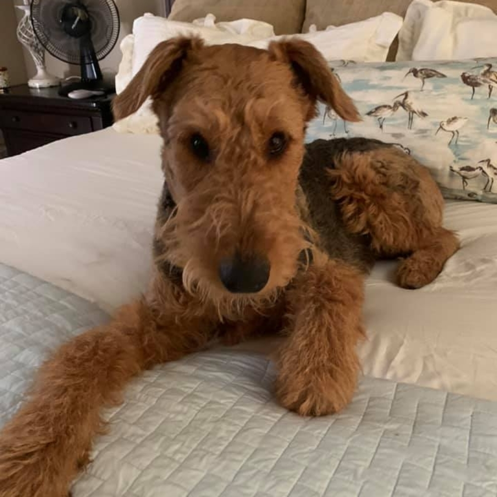 Meet your Posher, Kemberly